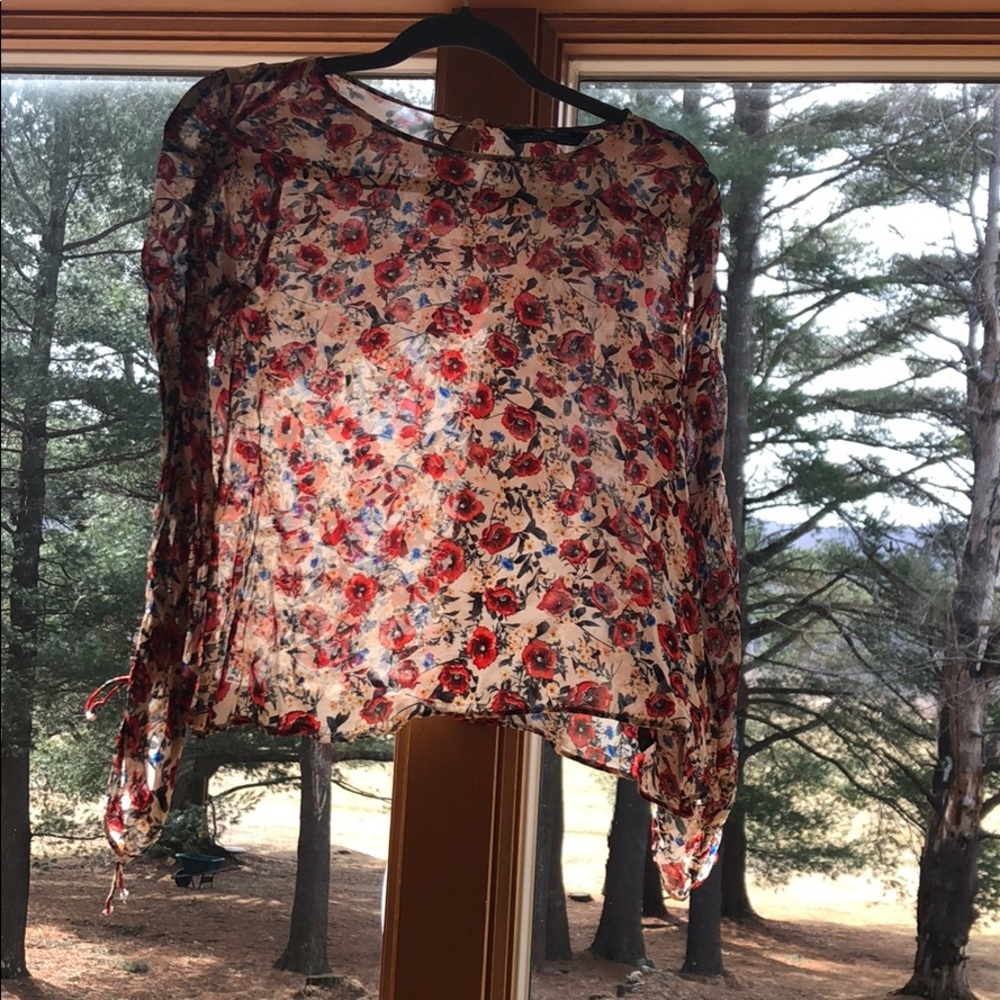 Zara floral sheer blouse